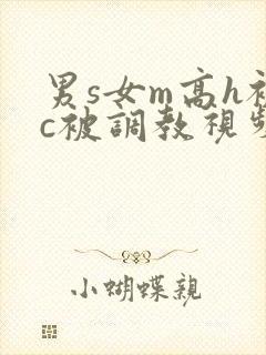 男s女m高h被c被调教视频