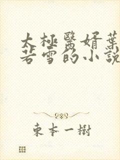 太极医婿叶凡唐若雪的小说