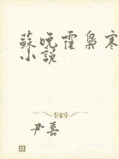 苏晚霍枭寒免费小说