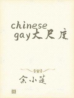chinese gay大尺度