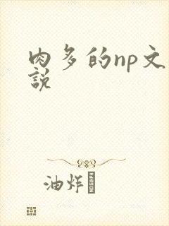 肉多的np文小说