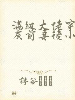 满级大佬穿成炮灰前妻后小说电子版txt封面