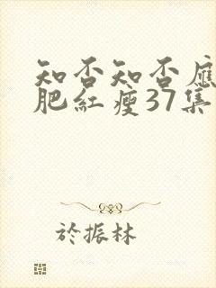 知否知否应是绿肥红瘦37集