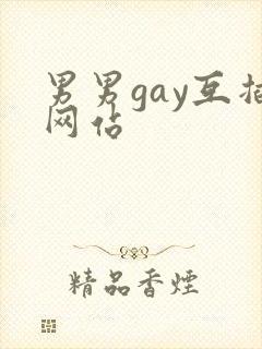 男男gay互插网站