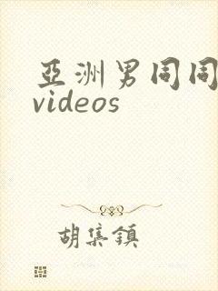 亚洲男同同性恋videos