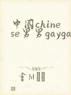 中国chinese男男gaygayvideo