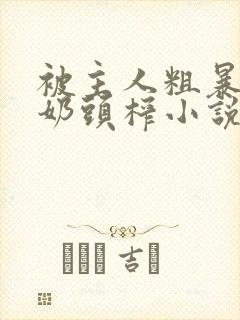 被主人粗暴玩弄奶头榨小说