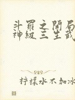 斗罗之开局签到神级三生武魂笔趣阁封面