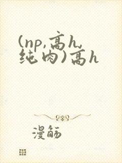 (np,高h,纯肉)高h封面