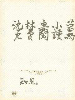 沈林鲁小荣小说免费阅读无弹窗