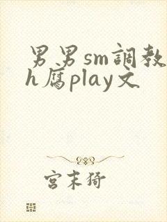 男男sm调教高h腐play文