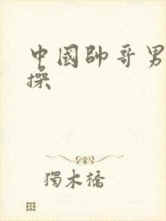 中国帅哥男同互操