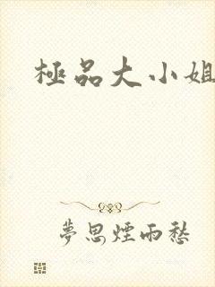 极品大小姐封面