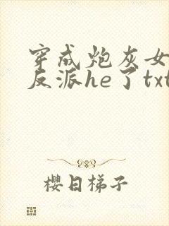 穿成炮灰女配和反派he了txt