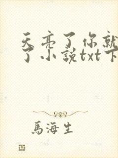 天亮了你就回来了小说txt下载