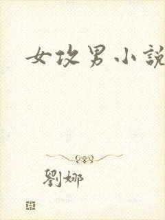 女攻男小说h