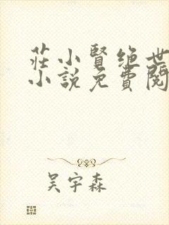 庄小贤绝世邪医小说免费阅读