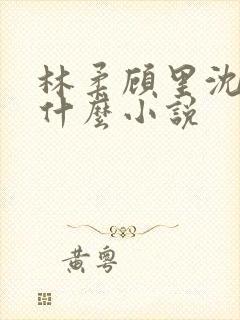 林柔顾里沈峰叫什么小说