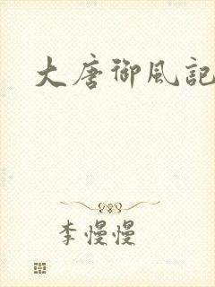 大唐御风记