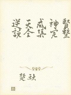 逆天成神贤君小说全集完整版封面