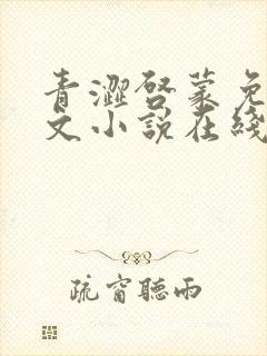 青涩启蒙免费全文小说在线阅读
