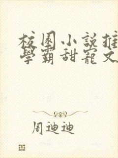 校园小说推荐双学霸甜宠文封面