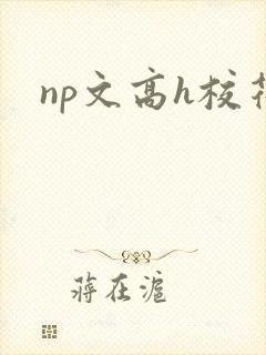 np文高h校花