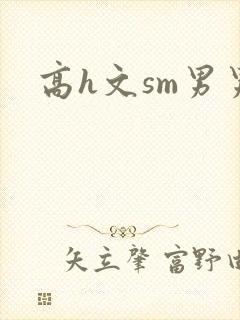 高h文sm男男封面