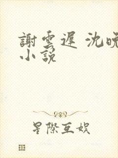 谢云迟 沈晚梨小说