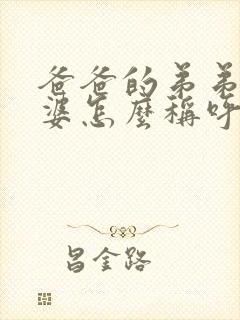 爸爸的弟弟的老婆怎么称呼