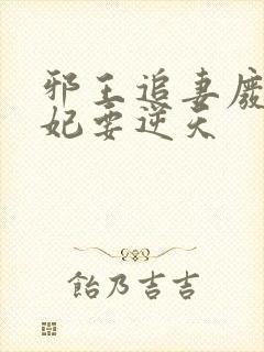 邪王追妻废材狂妃要逆天