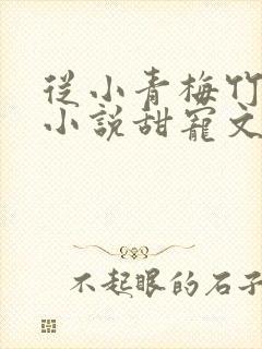 从小青梅竹马的小说甜宠文