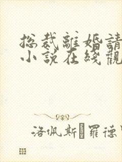 总裁离婚请签字小说在线观看