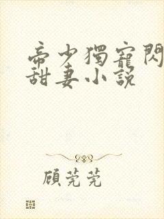 帝少独宠闪婚小甜妻小说
