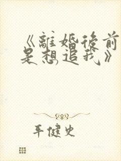《离婚后前夫总是想追我》