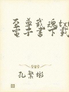 至尊武魂txt电子书下载