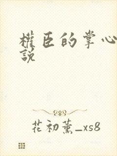 权臣的掌心宠小说