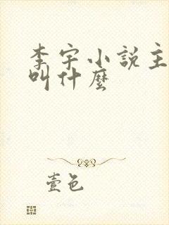 李宇小说主人公叫什么