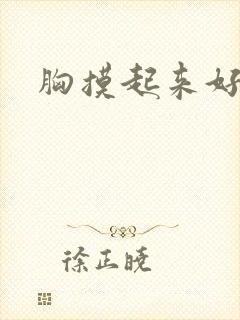 胸摸起来好软封面