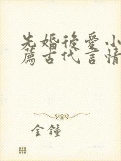 先婚后爱小说推荐古代言情