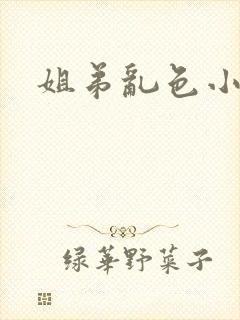 姐弟乱色小说