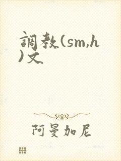 调教(sm,h)文封面