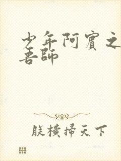 少年阿宾之吾爱吾师