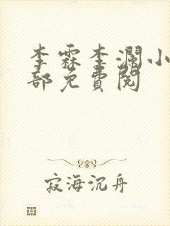 李霖李澜小说全部免费阅
