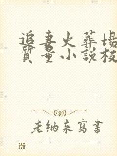 追妻火葬场的高质量小说校园