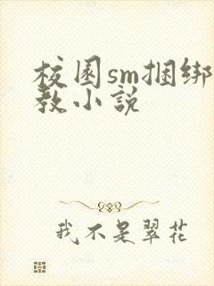 校园sm捆绑调教小说
