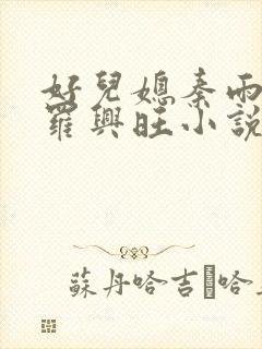 好儿媳秦雨罗明罗兴旺小说