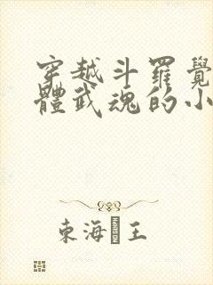 穿越斗罗觉醒本体武魂的小说