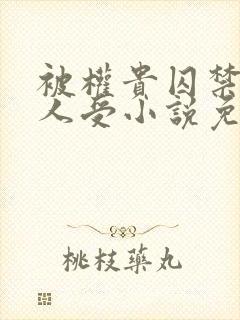 被权贵囚禁的美人受小说免费阅读下