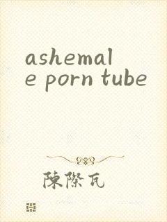 ashemale porn tube